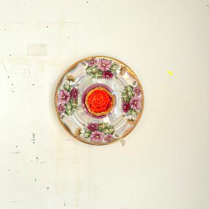 Aster by Shiri Phillips 