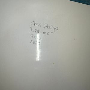 1.25 #2 by Shiri Phillips 