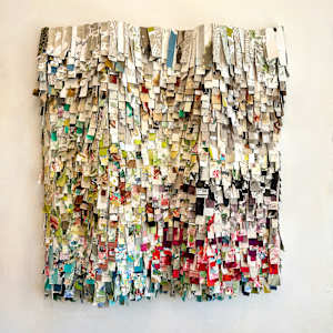 In The Fray by Shiri Phillips 