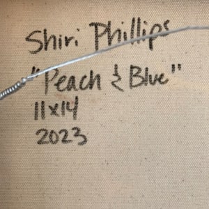 Peach and Blue by Shiri Phillips 