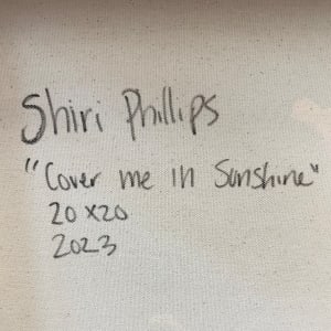 Cover Me in Sunshine by Shiri Phillips 
