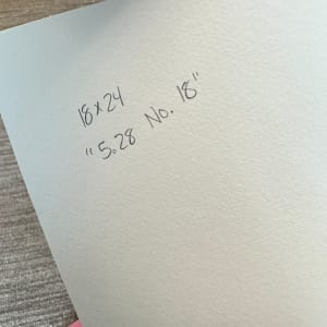5.28 No. 18 by Shiri Phillips 