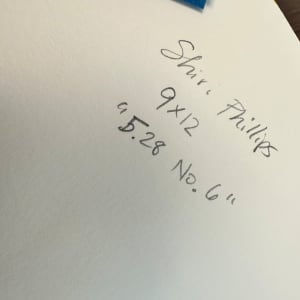 5.28 No. 6 by Shiri Phillips 