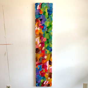 Rainbow Landing by Shiri Phillips 