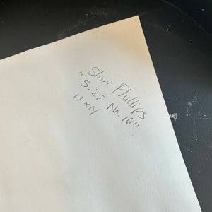 5.28 No. 16 by Shiri Phillips 