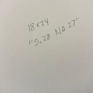 5.28 No. 27 by Shiri Phillips 