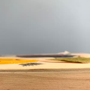 "Color, Shape and Texture No. 3" by Shiri Phillips 