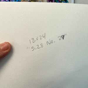 5.28 No. 29 by Shiri Phillips 