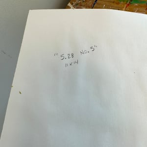 5.28 No. 5 by Shiri Phillips 