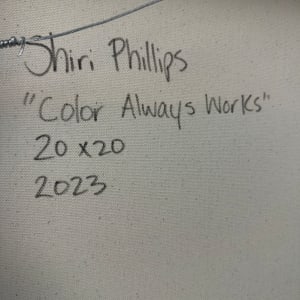 Color Always Works by Shiri Phillips 