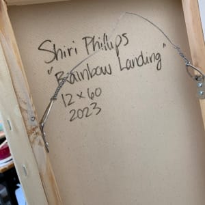 Rainbow Landing by Shiri Phillips 