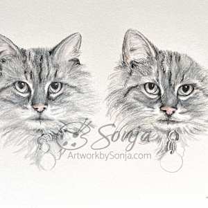 Cat Memorial Drawing by Sonja Petersen, Image 1.