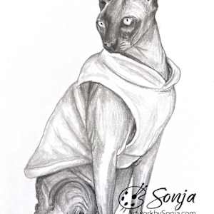 Sphinx Pet Portrait by Sonja Petersen