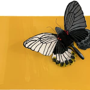 They by Victoria Rios