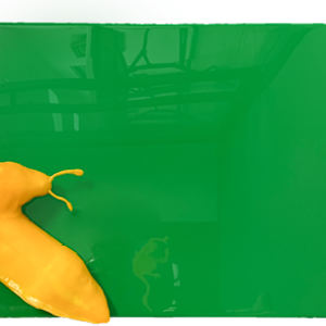 Them by Victoria Rios