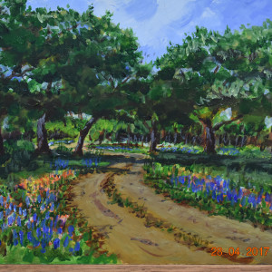 Texas Hill Country road in spring by Richard S. Hall