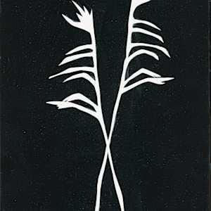 Twist by Susan Rowe Harrison