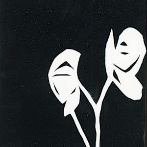 Wolf’s Bane by Susan Rowe Harrison