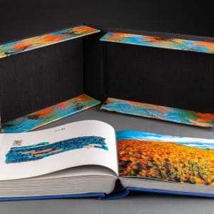 ART FROM ABO by George Roberts