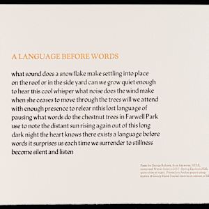 A Language Before Words by George Roberts