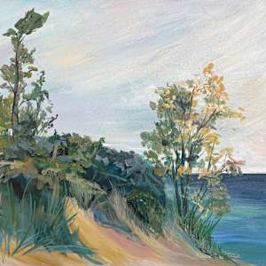 Indiana Dunes by Amy B. Carroll