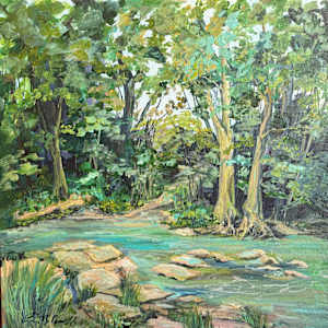 Creekside at Cataract Falls by Amy B. Carroll