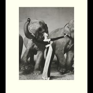 Dovima with Elephants 1955 by Richard Avedon 