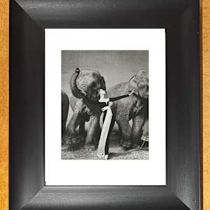 Dovima with Elephants 1955 by Richard Avedon 