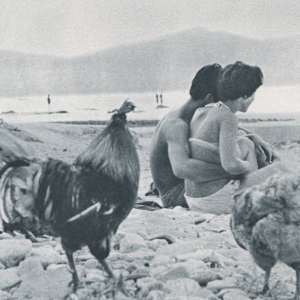 Côte d'Azur 1955 by Henri Cartier-Bresson 