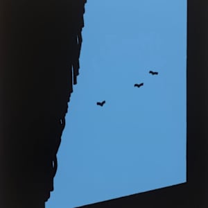 so everyday by Patrick Caulfield 