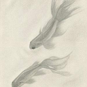 Fairy Gold 1951 by Cheung Yu Chiu 