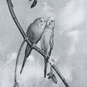 Intimate Partners 1958 by Chew K C 