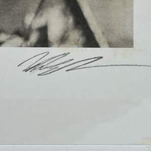 Leaf Study by Mark Eshbaugh, Image 3.