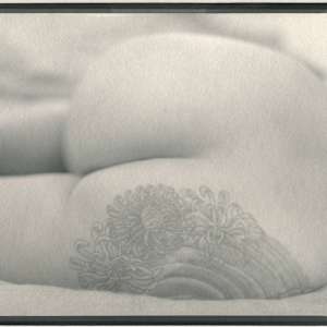 Alaura by Andrew Frith, Image 3.