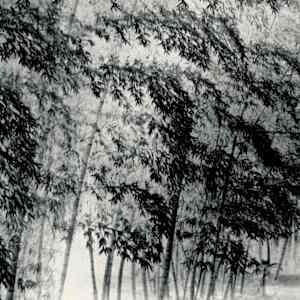 Deer by Long Chin-san 