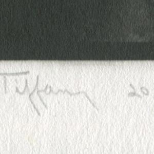 Tiffany II by Tom Millea, Image 5.