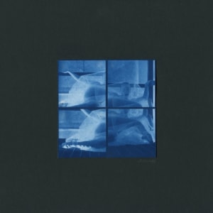 Blue Croisé Devant by Bruce Monk 