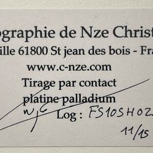 Pivoine by Christian Nze, Image 4.