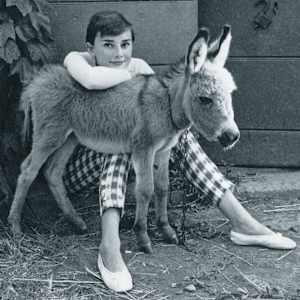 Audrey Hepburn with donkey 1955 by Norman Parkinson
