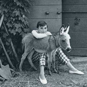 Audrey Hepburn with donkey 1955 by Norman Parkinson
