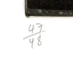 Young Predators by Paula Rego 