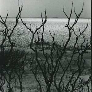 Nahant Beach, Boston by Lisa Vivona 
