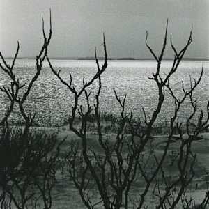 Nahant Beach, Boston by Lisa Vivona