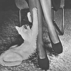 Cat Scratcher 1946 by Michael Wolgensinger