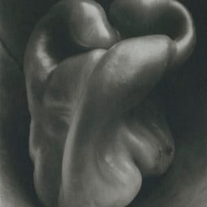 Pepper No.30 by Edward Weston 