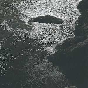 China Cove, Point Lobos 1940 by Edward Weston, Image 1.