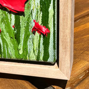 Poppies. 23001 by Kerry Leigh 