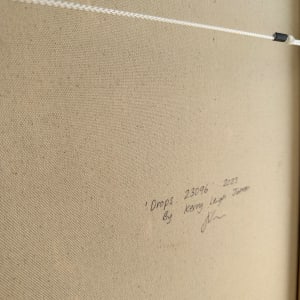 Drops. 23096 by Kerry Leigh 