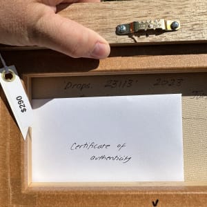 Drops. 23113 by Kerry Leigh 