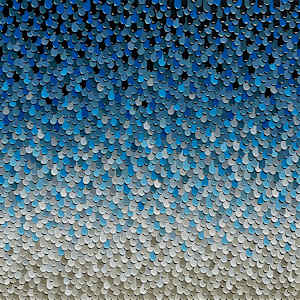 Drops. 25004 by Kerry Leigh 